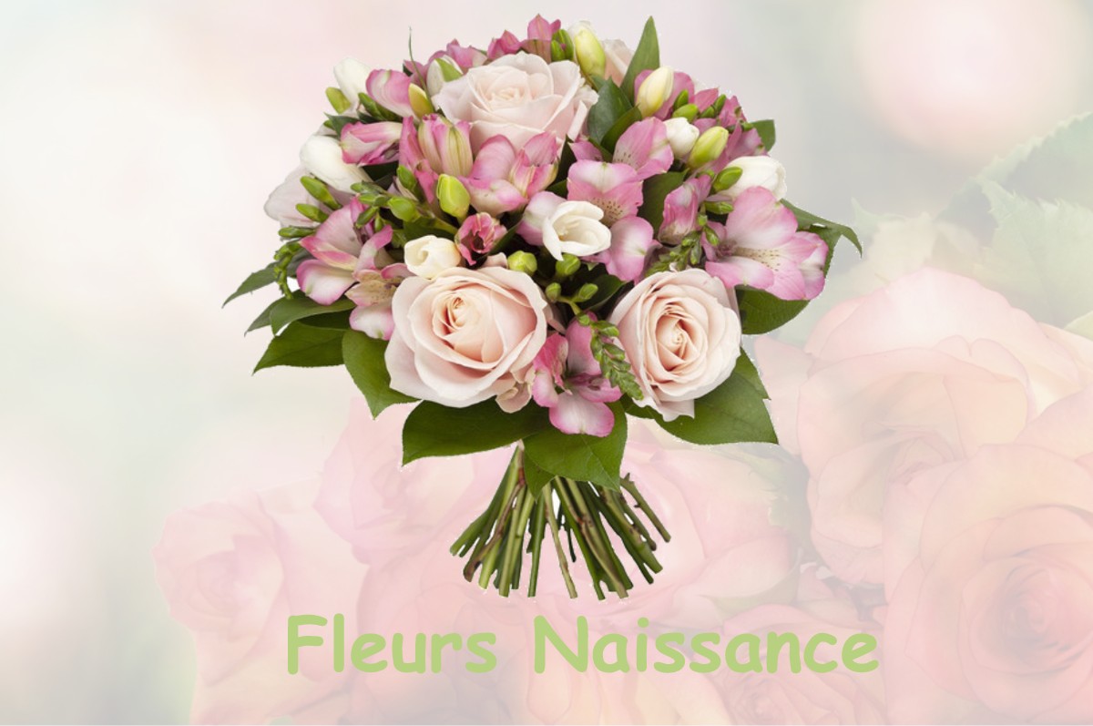 fleurs naissance SAINT-LAURENT-DE-CERIS